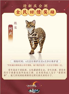 诅咒版天龙八部私服